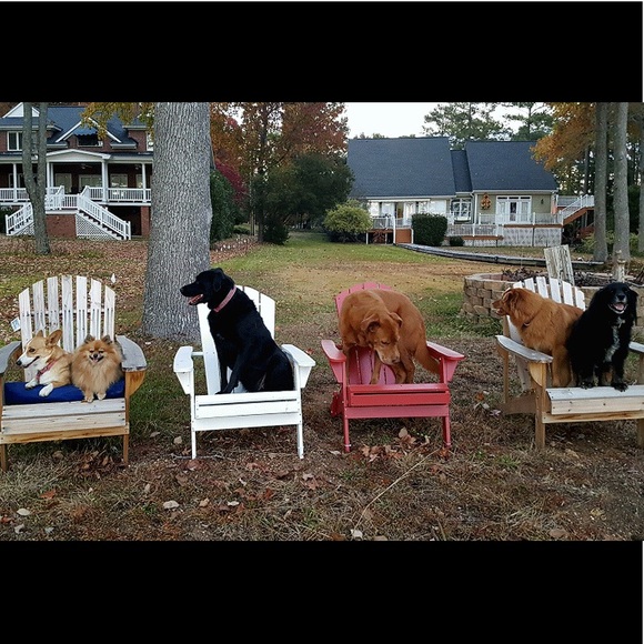 Meet your Posher and Posh Ambassador, Lynn - Picture 8 of 8